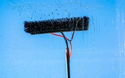 Why Professional Window Cleaning in Plymouth Saves You Money Long-Term